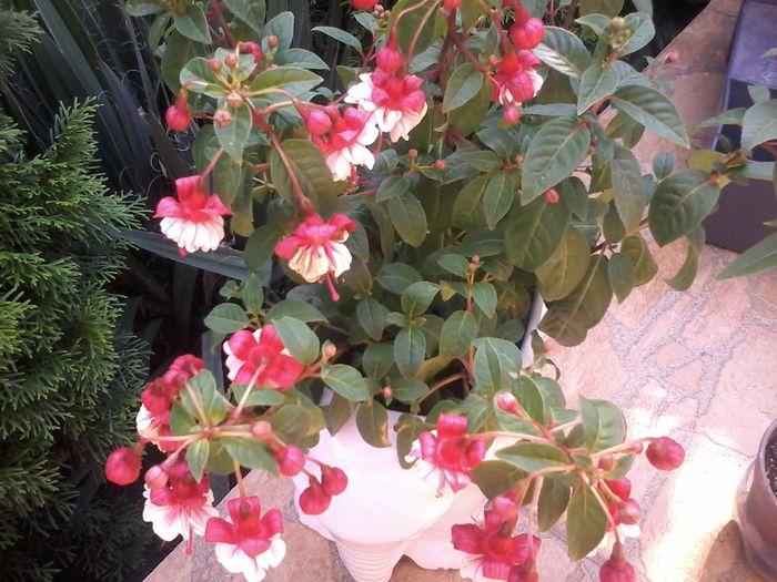 20150612_170030