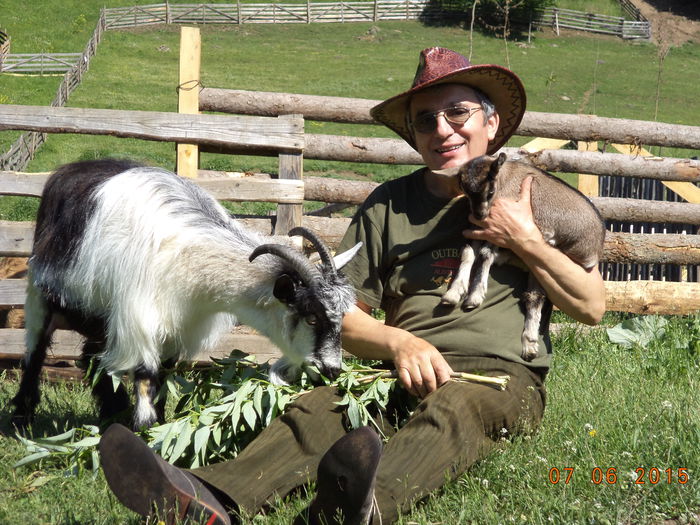 Ieduta de la Cezar-8 - Caprele lui Pop Petru