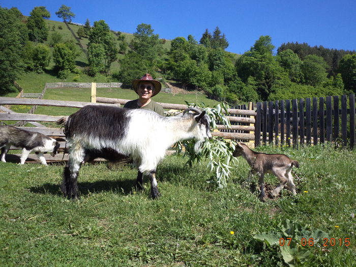 Ieduta micuta de la Cezar-4