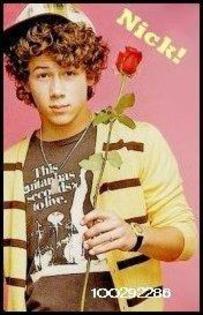 23564_nick%20the%20flower - Pt xOxOLoVeLyMiLzBest4eVeR