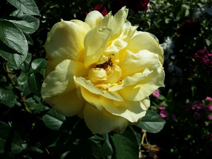 20150613_093830