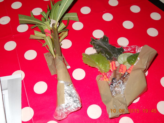 011 - FLORI PRIMITE 2015