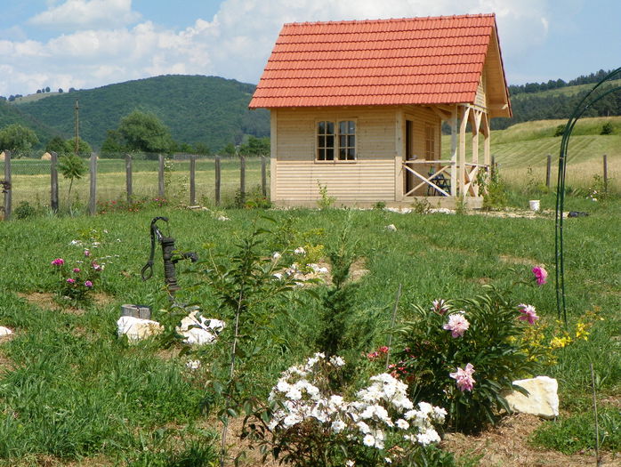 13 iun 131 - z-Dobarland 2015