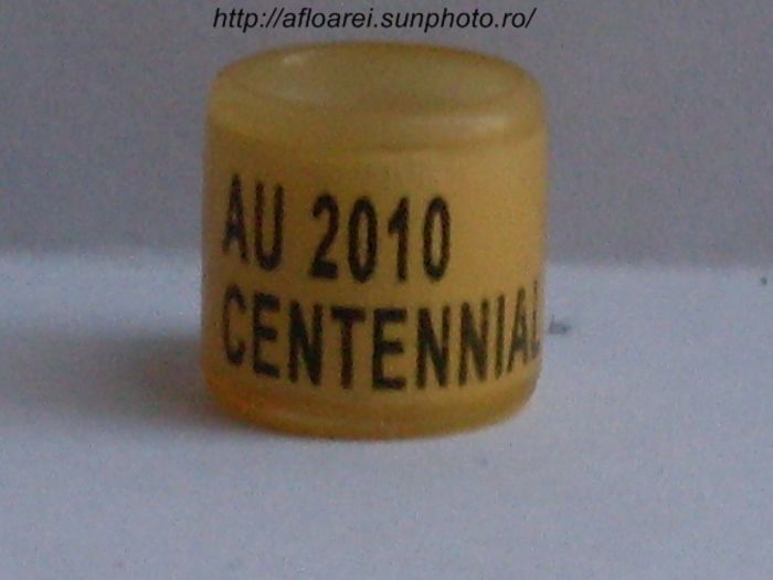au 2010 centennial