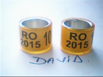 2015-RO-10mm....-1 leu