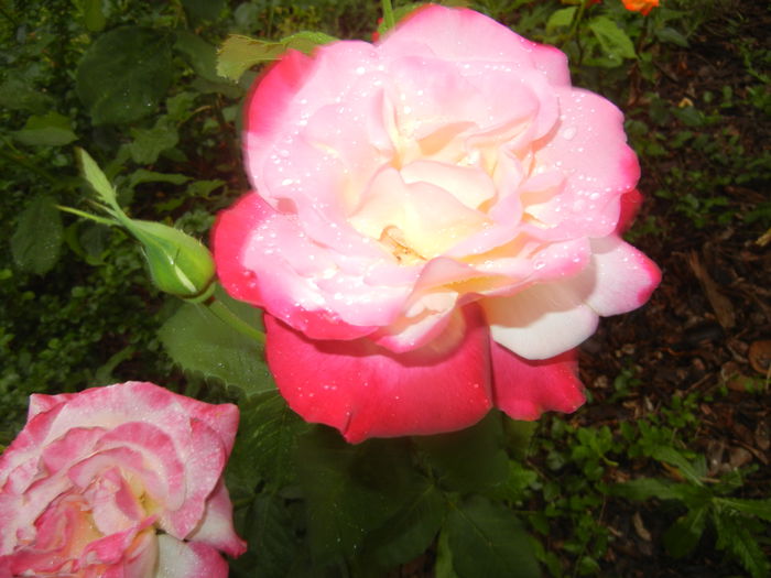 2015, May 25