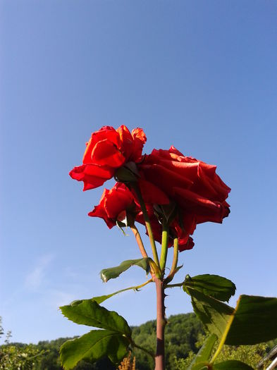 Fotografie0009