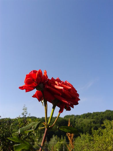 Fotografie0010