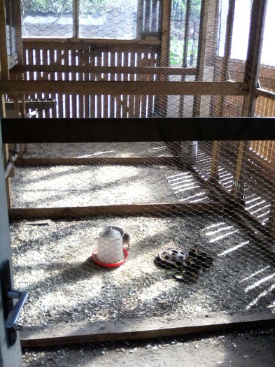 IMG_20150614_092259 - ADAPOST PASARI