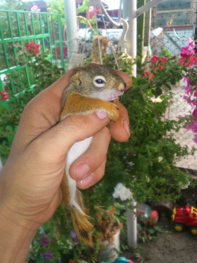 DSC_0111; Am mai crescut
