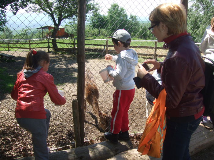 136 - Gradina Zoologica Moara de Vant