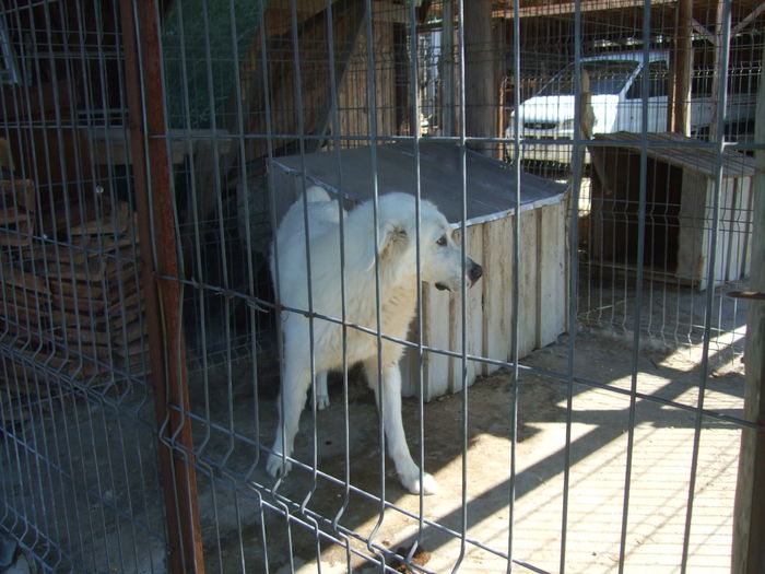 199 - Gradina Zoologica Moara de Vant