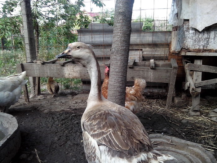 IMG_20150613_183305[1]