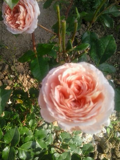 20150614_082925