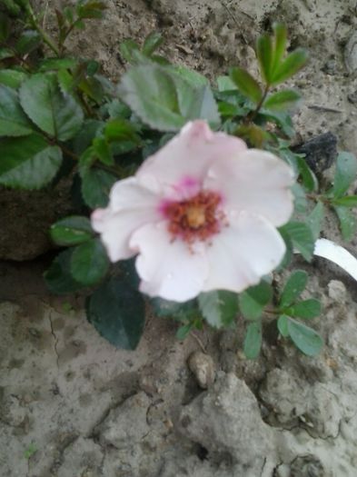 20150614_171302