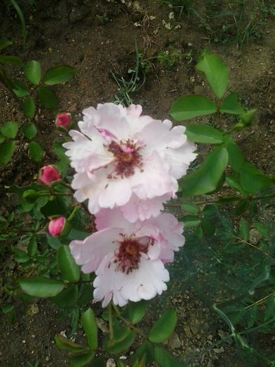 20150614_171403