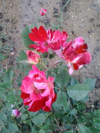 20150613_193545