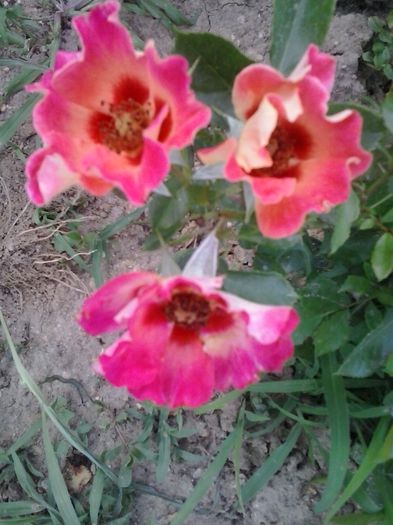 20150613_193744