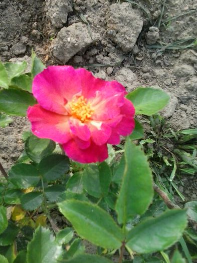 20150614_074548