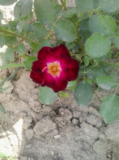 20150614_101409