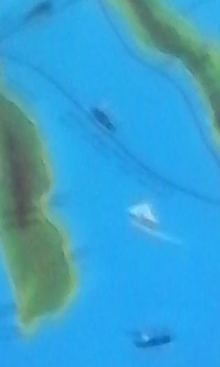 IMG_20150605_101800_1CS