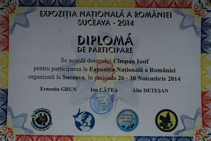 Expo Suceava 2014 95.5 p. cu Eva - 1 Cupe si diplome