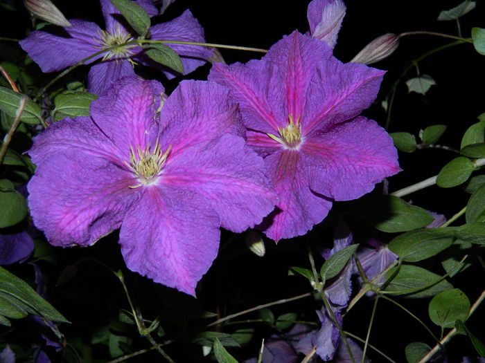 DSCN9308