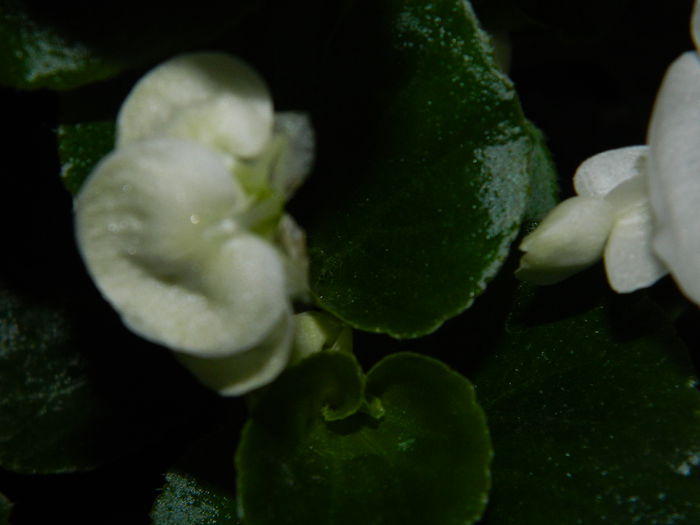 DSCN9319