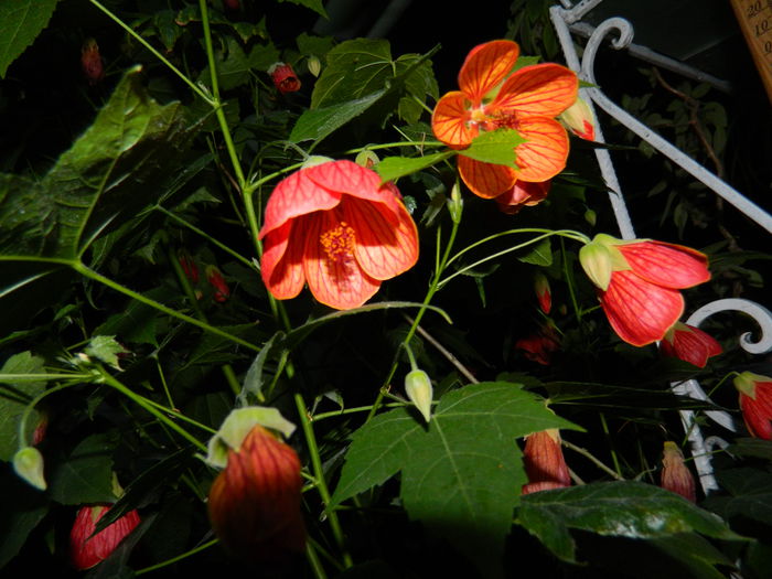 DSCN9328