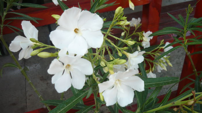 060