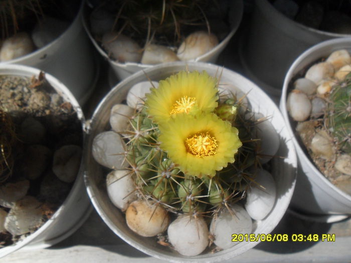 SAM_0056