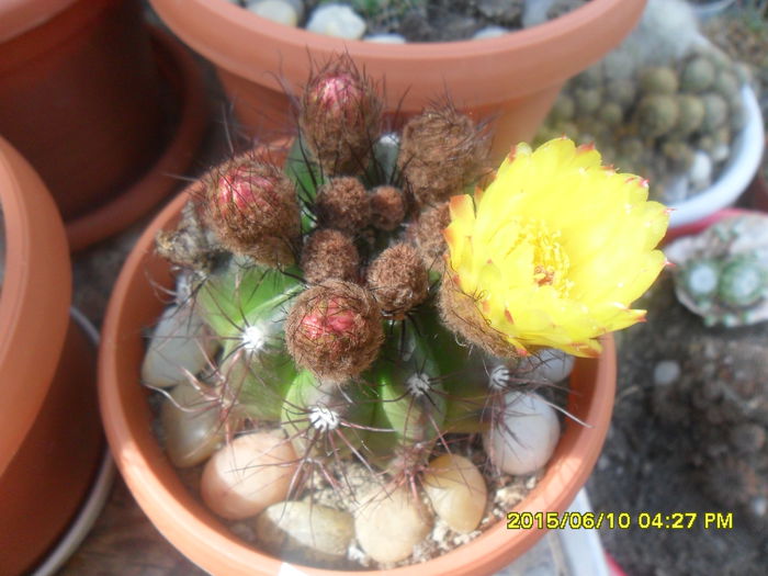 SAM_0110