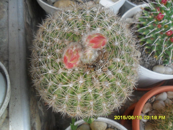 SAM_0210