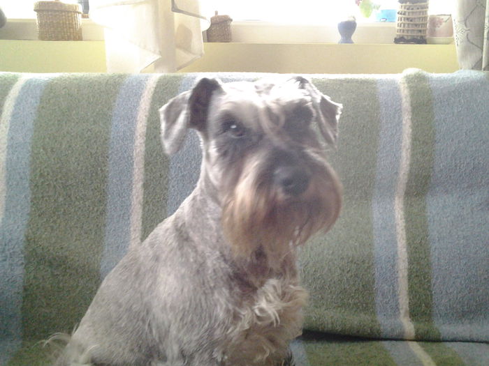 20150616_093944 - Enzo