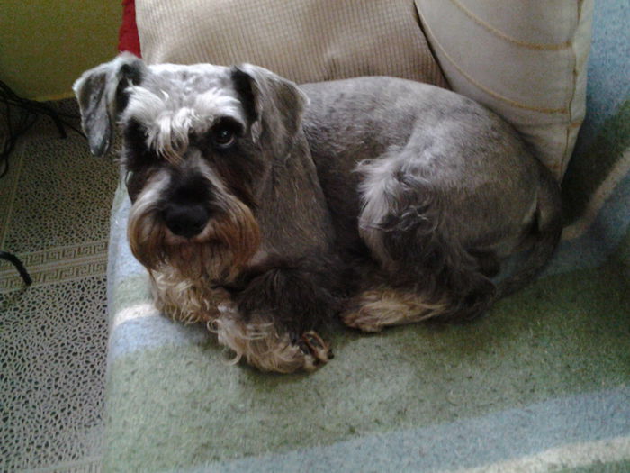 20150616_093907 - Enzo