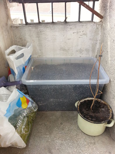 20150325_145105