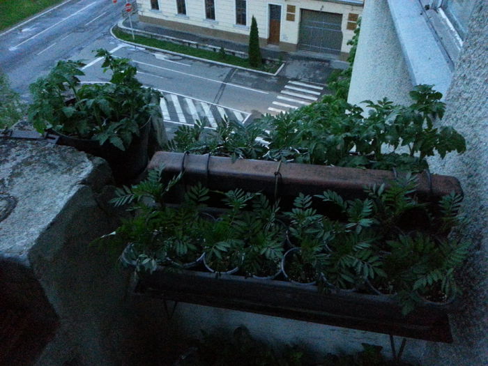 20150428_203800
