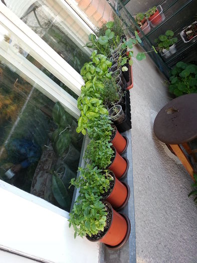 20150516_202703 - balcon 2015