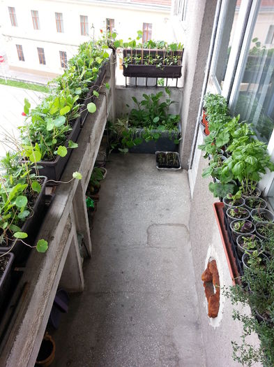 20150517_124452 - balcon 2015