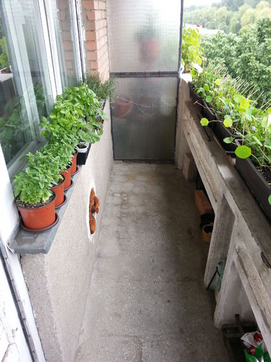 20150517_124513 - balcon 2015