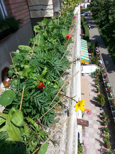 20150520_152252