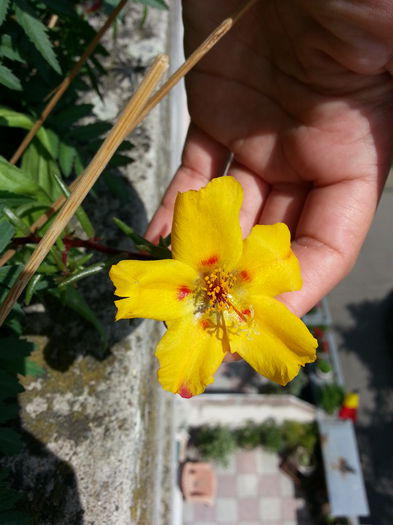 20150520_152343