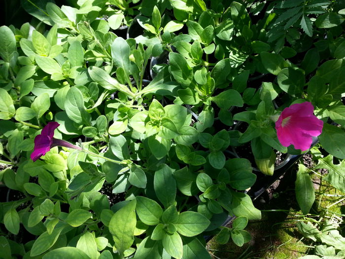 20150521_110057