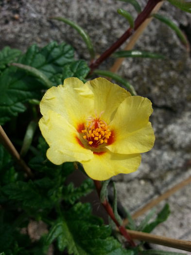 20150521_171450