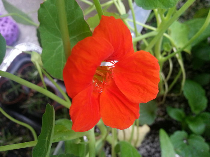 20150522_172213