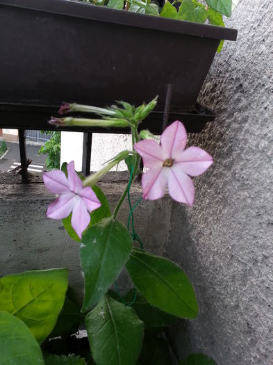 20150523_200248
