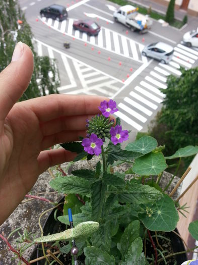 20150525_153048