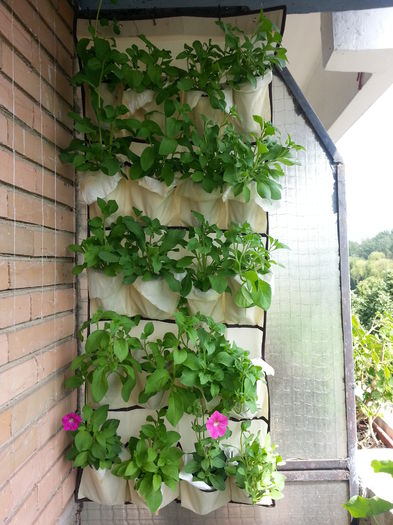 20150604_152329 - balcon 2015