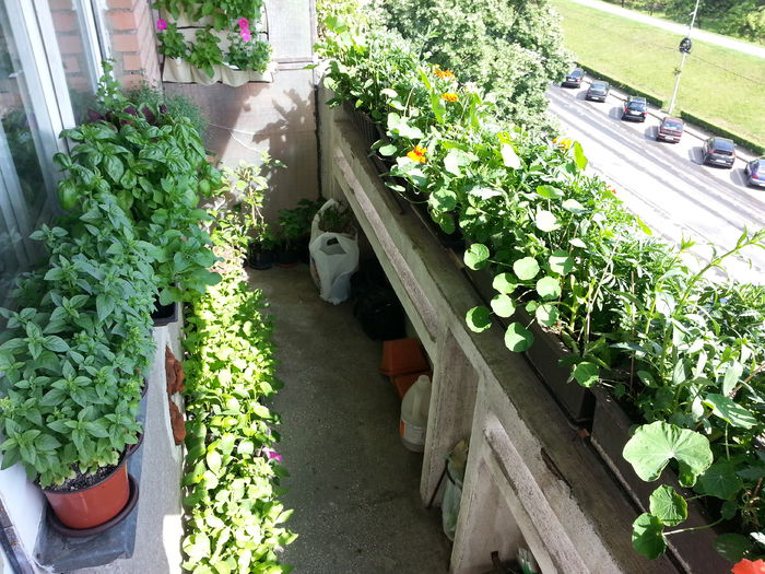 20150605_163015 - balcon 2015