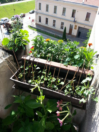 20150605_163035